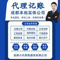 代理记账 企业财务管理的得力助手